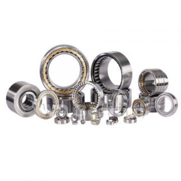  10771-RP Mud Pump Bearing